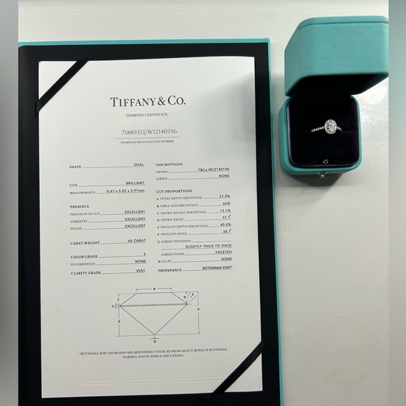 Tiffany & Co. Soleste Oval Halo Engagement Ring with Platinum Diamond Band - Picture 3 of 4